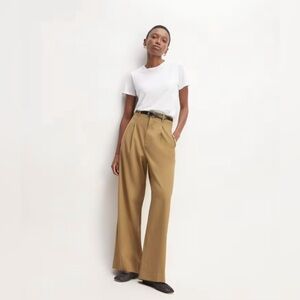 Everlane Italian Wool Way-High Drape Pant